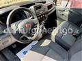 FIAT TALENTO Coibentato Isotermico Frigorifero