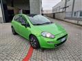 FIAT PUNTO 0.9 TwinAir Turbo S&S 5 porte TwinAir