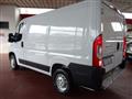 FIAT DUCATO 30q 2.3 MJT 120CV PC-TN Furgone