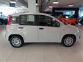 FIAT PANDA 1.2 EasyPower Easy