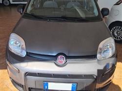 FIAT Panda 1.0 firefly hybrid City Life s&s 70cv