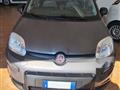 FIAT Panda 1.0 firefly hybrid City Life s&s 70cv