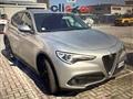 ALFA ROMEO STELVIO 2.2 Turbodiesel 160 CV AT8 RWD Business