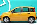 FIAT PANDA 1.2 Pop - NEOPATENTATI