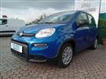 FIAT PANDA 1.0 MY24 HYBRID MANUALE OK NEOPATENTATO