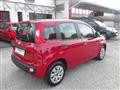 FIAT PANDA 1.2 69cv NEOPATENTATI