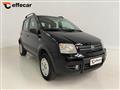 FIAT PANDA 1.2 4x4 gpl NEOPATENTATI