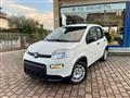 FIAT PANDA 1.0 FireFly S&S Hybrid - KM0