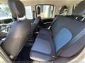 FIAT PANDA CROSS Panda Cross 1.0 FireFly S&S Hybrid