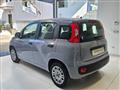 FIAT PANDA 1.0 FireFly S&S Hybrid da ?119,00 mensili