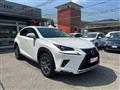 LEXUS NX Hybrid Business 197CV 4wd#PROMOFIN