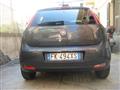 FIAT PUNTO 1.3 MJET II S-S 95 CV 5 PORTE STREET