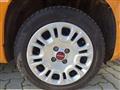 FIAT PANDA CROSS 1.2 Lounge ADATTA X NEOPATENTATI