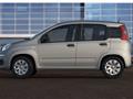 FIAT PANDA 1.0 FireFly S&S Hybrid Pandina