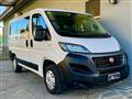 FIAT DUCATO 33 2.3 MJT 140CV PM-TM Furgone