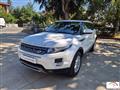 LAND ROVER Range Rover Evoque 2.2 TD4 5p. Pure Tech Pack