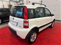 FIAT Panda 1.3 mjt 16v 4x4 NEOPATENTATI