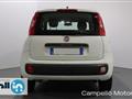 FIAT PANDA 1.2 69cv S&S Pop E6D-temp