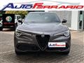 ALFA ROMEO STELVIO 2.2 Turbodiesel 210 CV AT8 Q4 Veloce