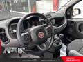 FIAT PANDA 1.0 firefly hybrid City Life s&s 70cv