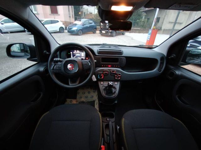 FIAT PANDA 1.0 FireFly S&S Hybrid Pandina