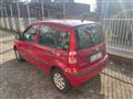 FIAT PANDA 1.2 Active Neopatentato