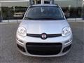 FIAT PANDA 1.0 70cv HYBRID IN OFFERTA