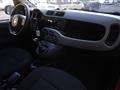 FIAT PANDA 1.2 City Cross