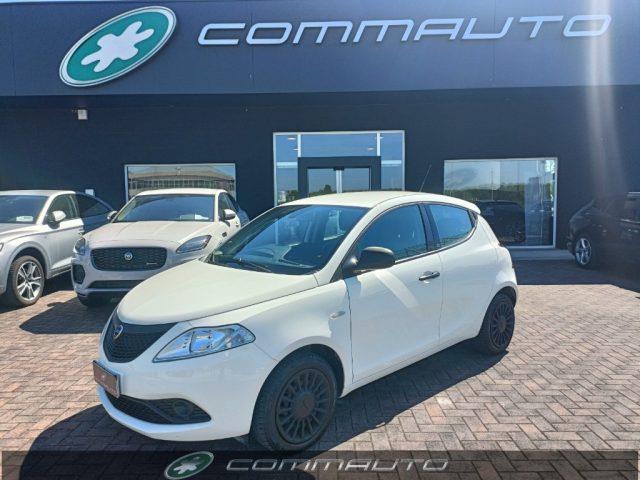 LANCIA YPSILON 1.2 69CV 5porte Elefantino Blu ADATTA PER NEOPAT