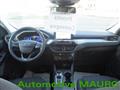 FORD KUGA 1.5 EcoBlue 120 CV aut. 2WD Titanium Business