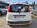 FIAT PANDA VAN Panda 1.2 POP NEOPATENTATI FR812NY