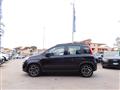 FIAT PANDA 1.0 FireFly S&S Hybrid City Life NEOPATENTATI