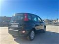 FIAT Panda 1.0 firefly hybrid s&s 70cv 5p.ti