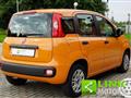 FIAT PANDA 1.2 Easy Power 69CV 2020 - 62.000KM - NEOPATENTATI