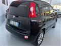 FIAT PANDA 1.2 Lounge con promo "PANERO PLUS"