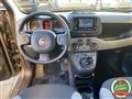 FIAT PANDA 1.0 firefly hybrid City Life