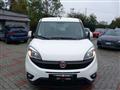 FIAT DOBLÒ AUTOCARRO Professional  1.6 Multijet 120