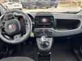 FIAT Panda Cross 1.0 firefly hybrid Cross s&s 70cv 5p.ti