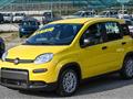 FIAT PANDA CROSS 1.0 Hybrid 70cv SERIE 7