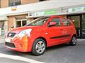 KIA PICANTO 1.0 12V Life Bi-Fuel NEOPATENTATI GARANZIA