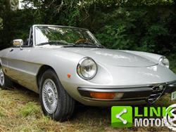 ALFA ROMEO SPIDER 1600 Veloce 1981 - ISCRITTA ASI - TARGA ORO