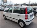 FIAT PANDA 1.2 Dynamic 69cv E5 - Per Neopat.