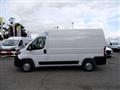 OPEL MOVANO 140CV COIBENTATO CON FRIGO IN ATP 0-4°