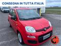 FIAT PANDA 1.0 FIREFLY HYBRID CITY LIFE X NEOPATENTATI-