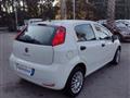 FIAT Punto 1.2 8V 5p. Street