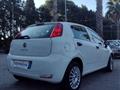 FIAT Punto 1.2 8V 5p. Street