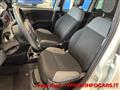 FIAT PANDA 1.0 FireFly S&S Hybrid NEOPATENTATI