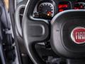 FIAT Panda 1.0 firefly hybrid City Life s&s 70cv 5p.ti