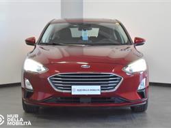 FORD FOCUS 1.5 EcoBlue 120 CV 5p. Business