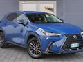 LEXUS NX Hybrid 4WD Premium 4x4